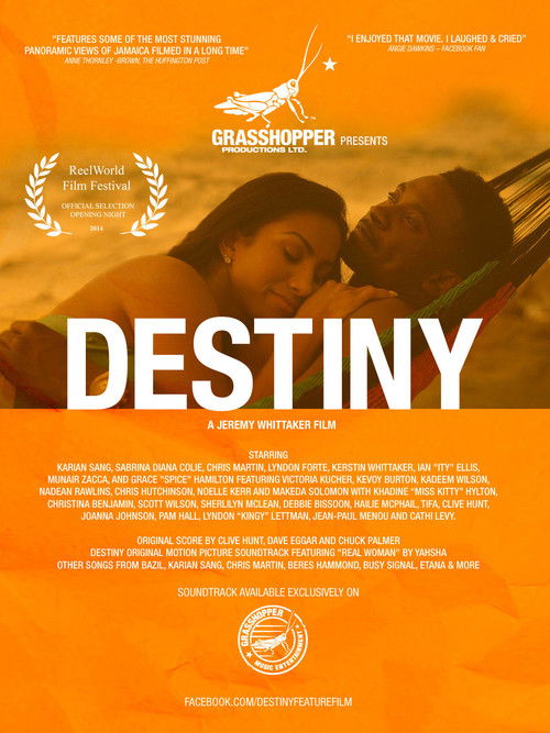 Destiny (2014) poster