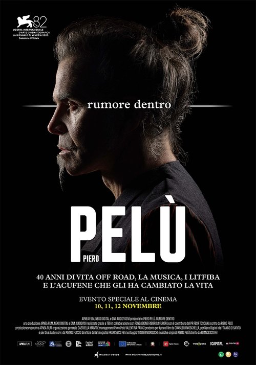 Piero Pelù - Rumore dentro (2025) poster