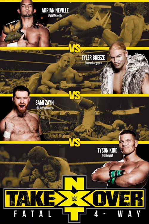 NXT TakeOver: Fatal 4-Way (2014) poster