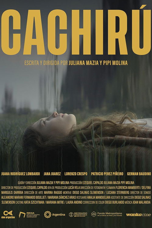 Cachirú (2023) poster