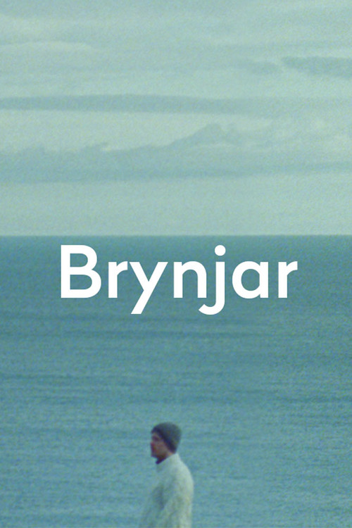 Brynjar (2019) poster