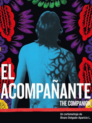 The Companion (2012) poster