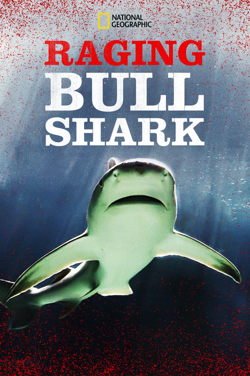 Raging Bull Shark (2020) poster