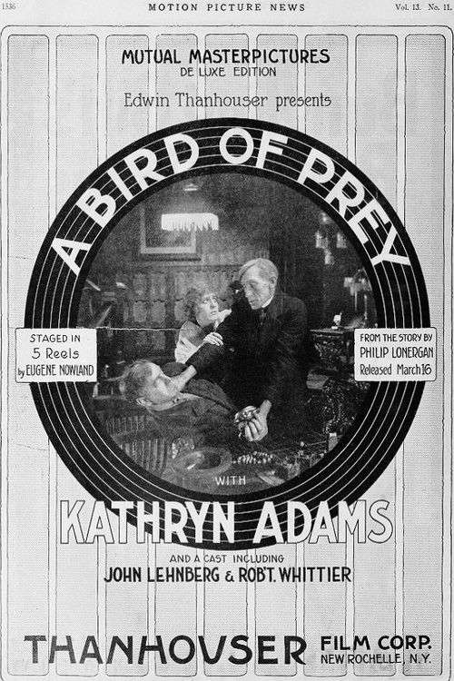 A Bird of Prey (1916) poster