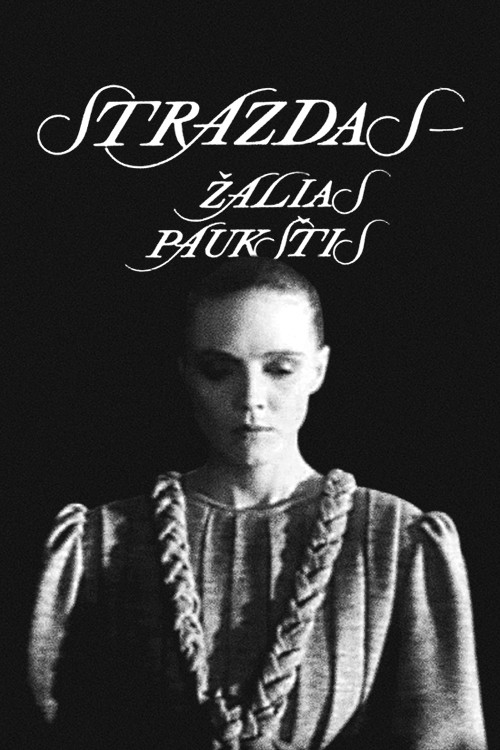 Strazdas - žalias paukštis (1990) poster