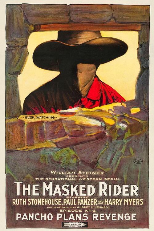 The Masked Rider (1919) poster