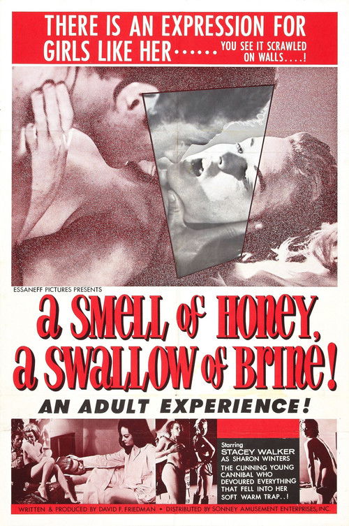 A Smell of Honey, a Swallow of Brine (1966) poster