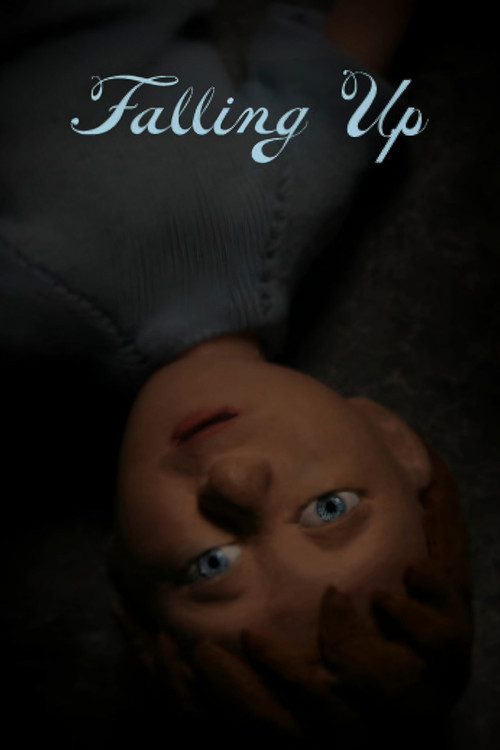 Falling Up (2011) poster