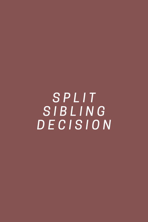 Split Sibling Decision (2017) poster