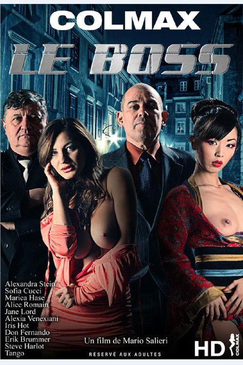 L'uomo dei sogni (2013) poster