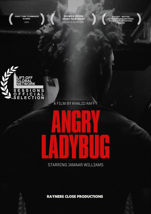 Angry Ladybug (2024) poster