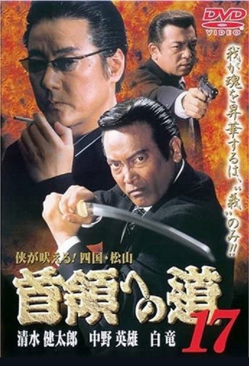 Road to the Don 17 (2001) poster
