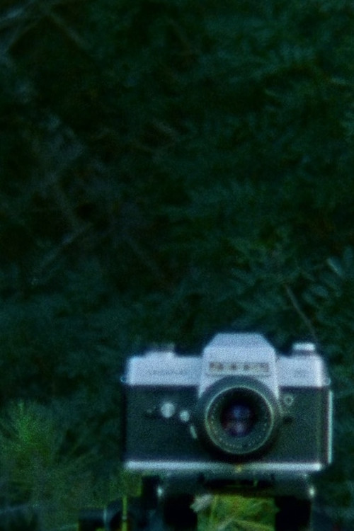 A Is CID (2017) poster