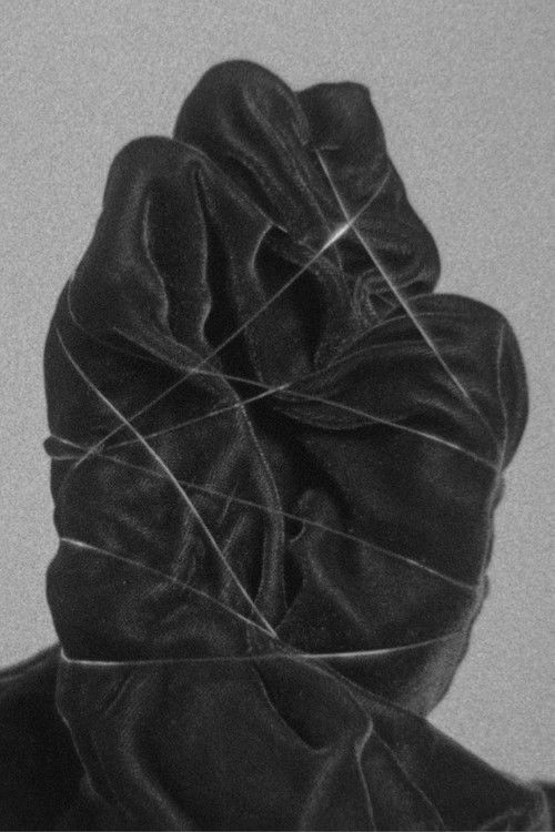 Zero Length Spring (2020) poster