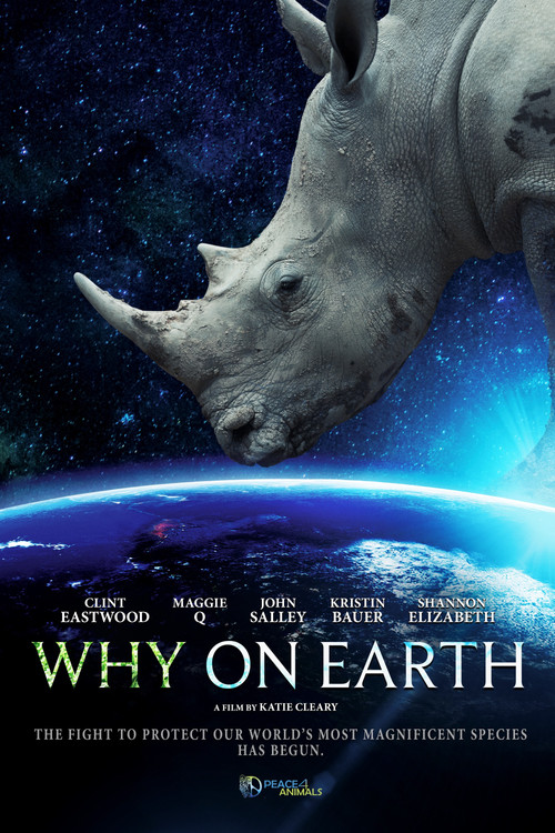 Why on Earth (2022) poster