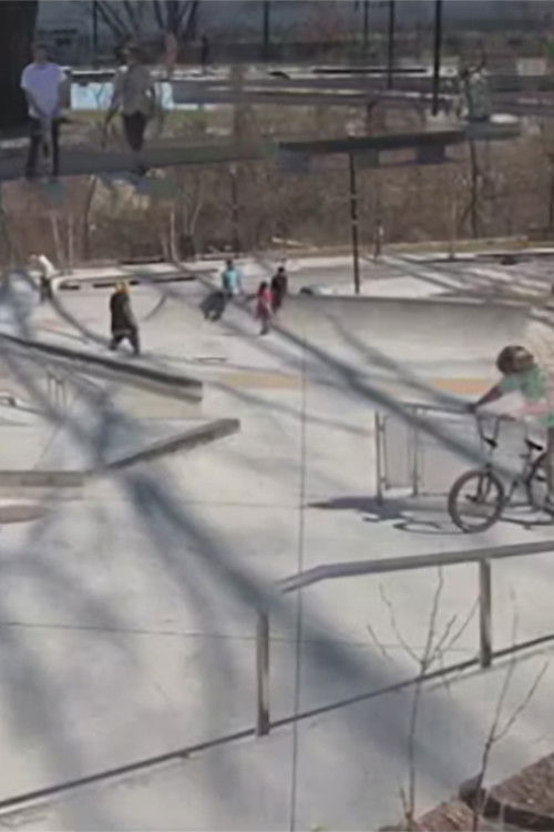 Dimensional Excursions (2024) poster