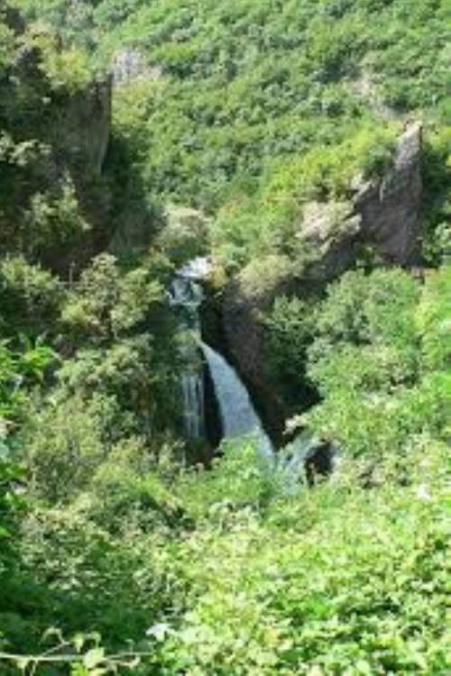 sara original (2025) poster