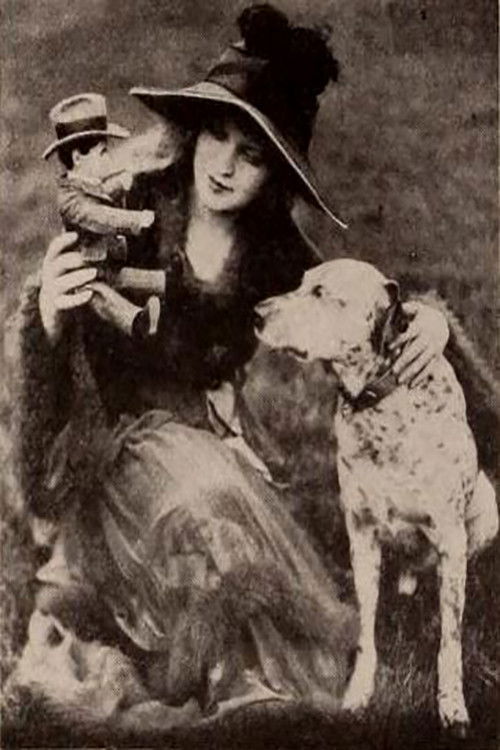 The Dream Doll (1917) poster