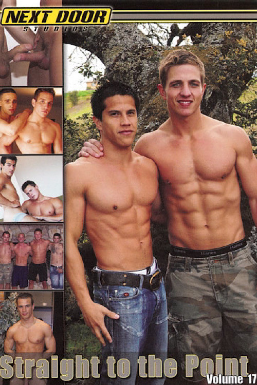 Straight to the Point Volume 17 (2009) poster