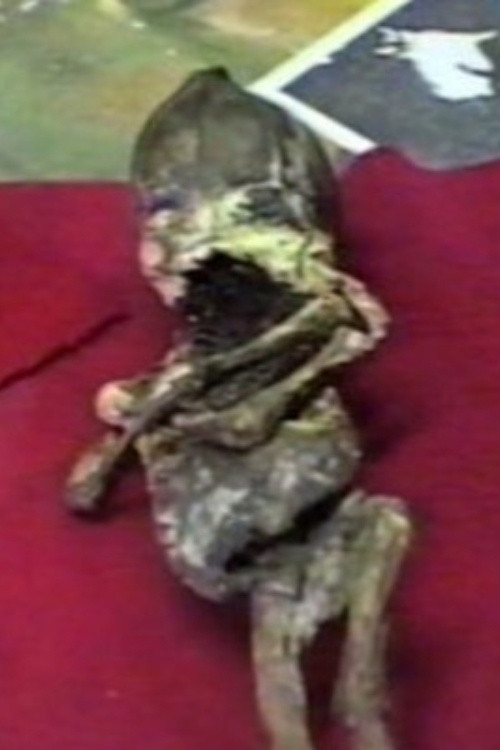 Kyshtym Dwarf (2006) poster