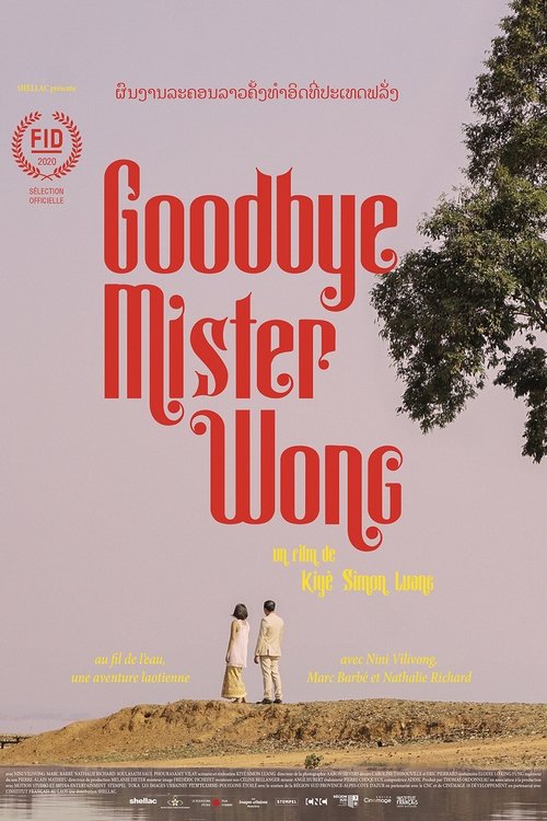 Goodbye Mister Wong (2020) poster