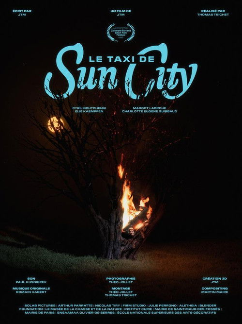 Le taxi de Sun City (2020) poster