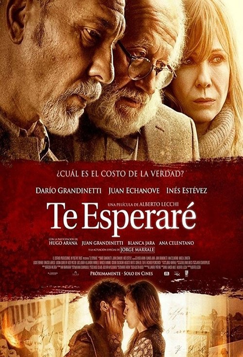 Te esperaré (2017) poster