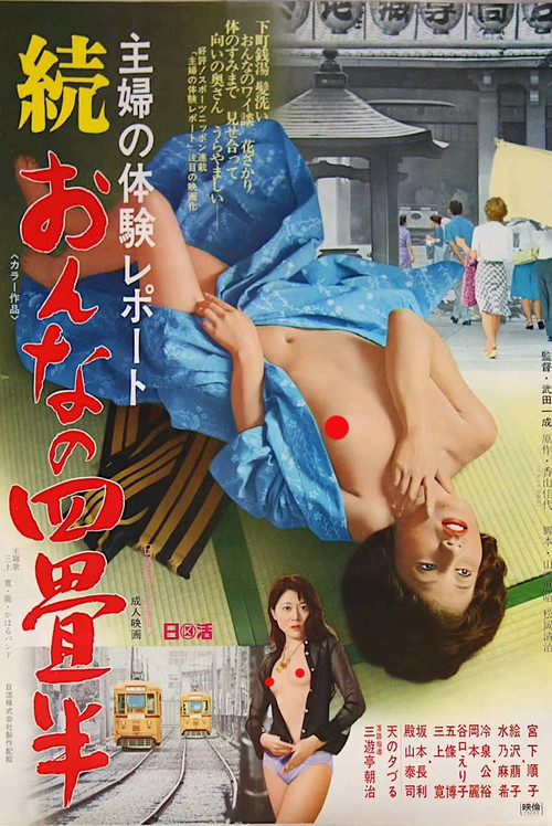 Housewife's Experience: Tenement Apartment 2 (1975) poster