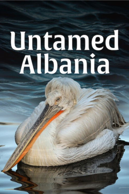 Untamed Albania (2018) poster