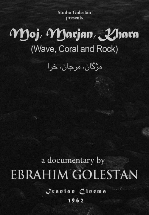 Wave, Coral and Rock (1962) poster