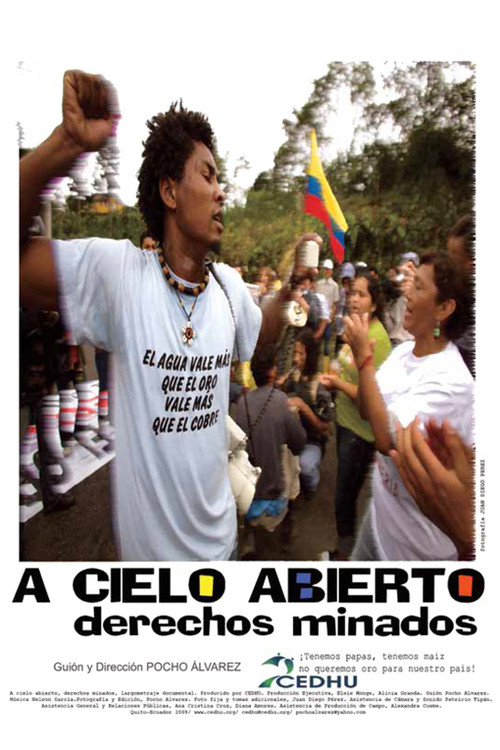 A cielo abierto, derechos minados (2009) poster