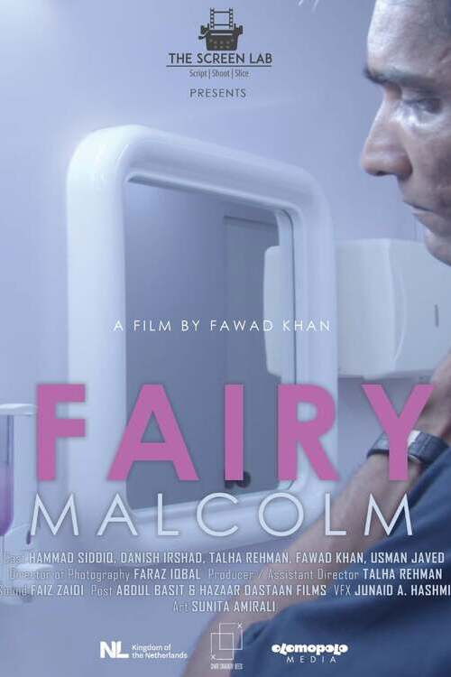 Fairy Malcolm (2021) poster