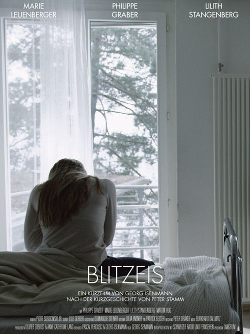 Blitzeis (2012) poster