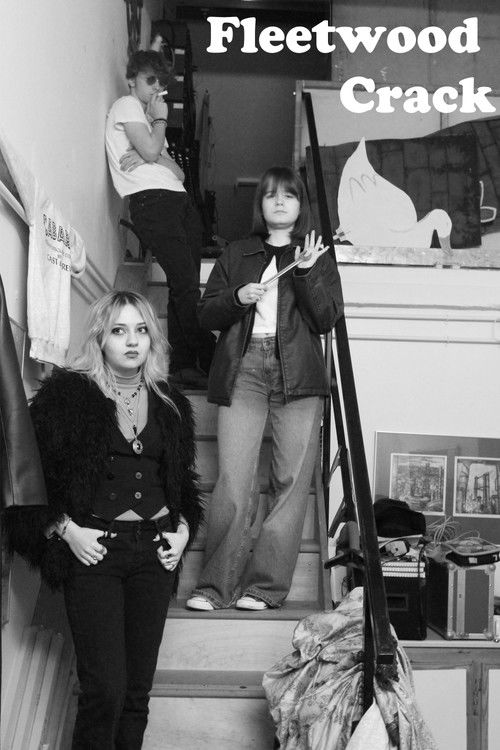 Fleetwood Crack (2024) poster