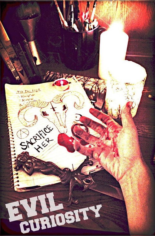 An Evil Curiosity (2017) poster