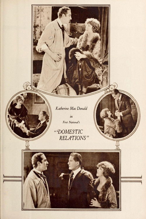 Domestic Relations (1922) poster