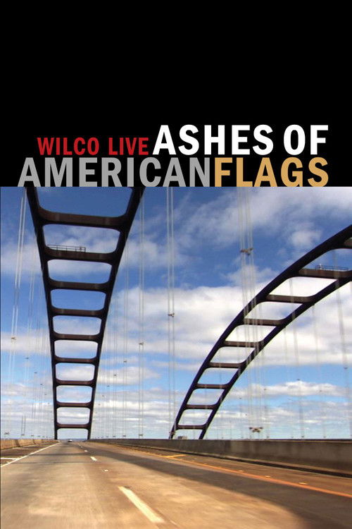 Wilco: Ashes of American Flags (2009) poster