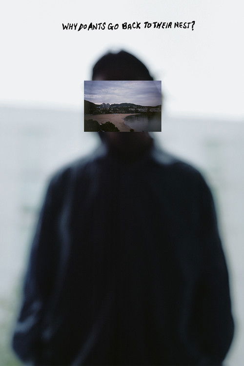 Why Do Ants Go Back To Their Nest? (2022) poster