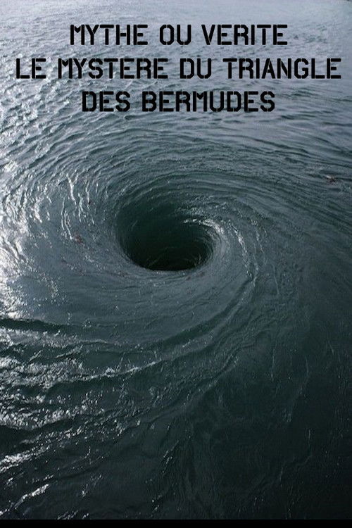 Mythe Ou vérité – Le Mystère Du Triangle Des Bermudes (2006) poster