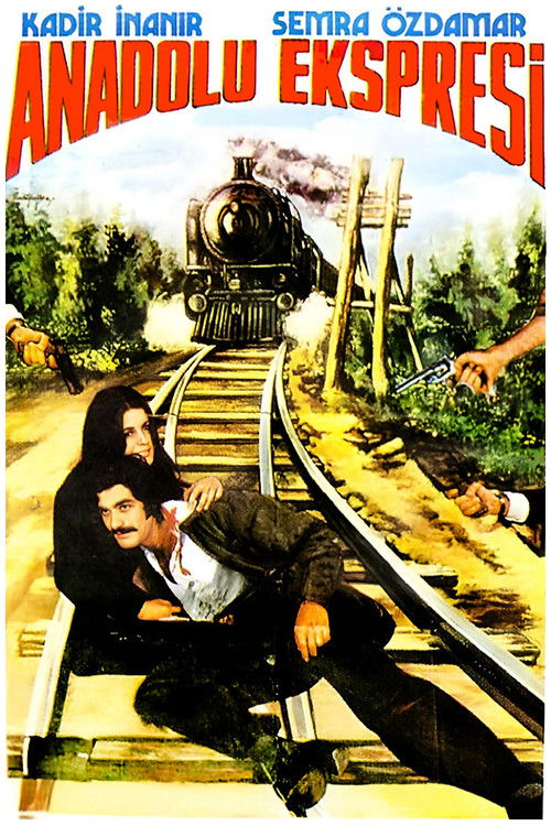 Anadolu Ekspresi (1973) poster