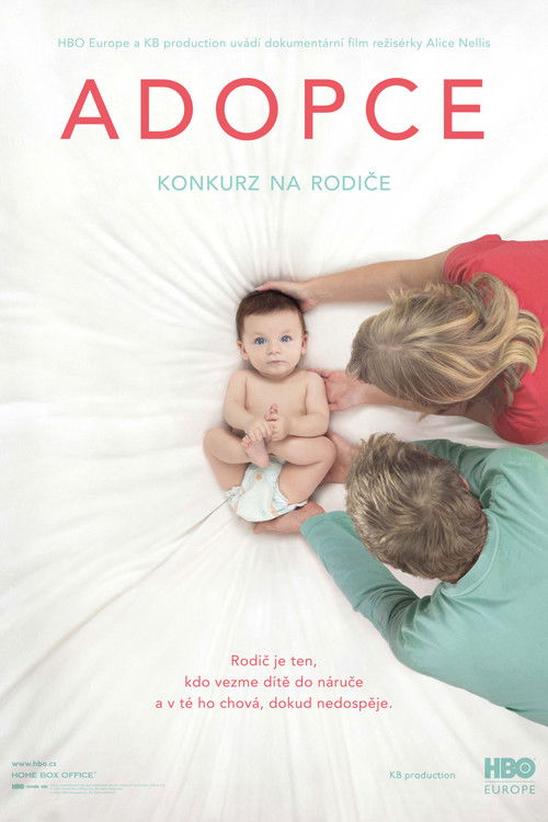 Adopce: Konkurz na rodiče (2014) poster