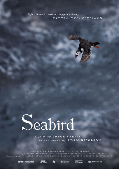 Seabird (2021) poster