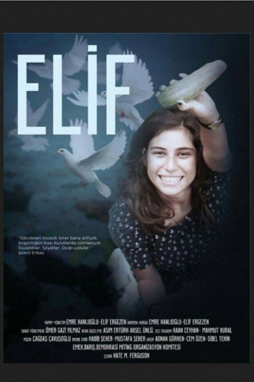 Elif (2017) poster