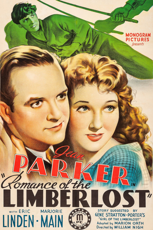 Romance of the Limberlost (1938) poster