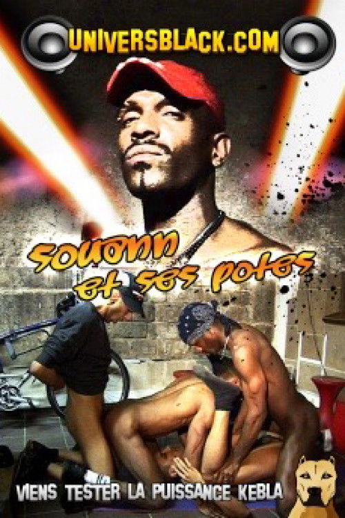 Souann et ses potes (2013) poster