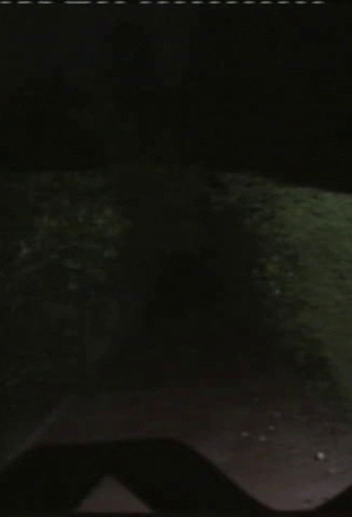 Vórtice Magnético ou Mecanismo de Dobra Fantasmática (2023) poster