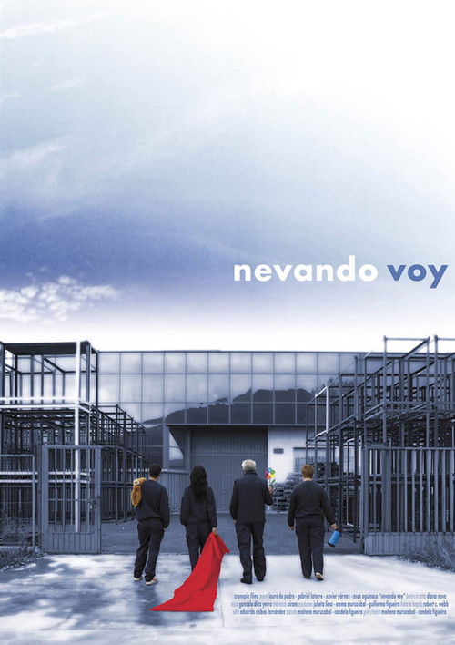 Nevando voy (2008) poster