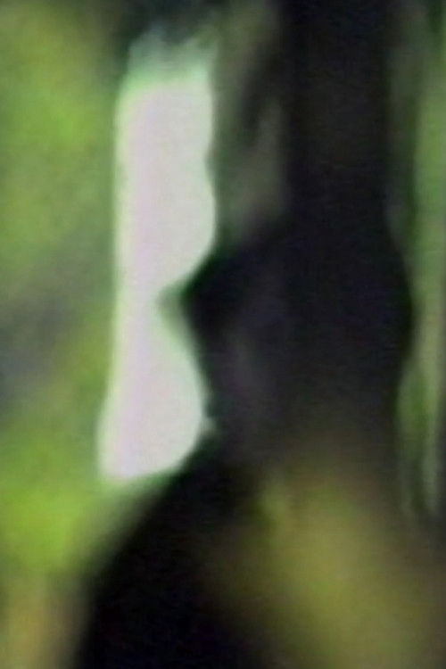 Totem Lesson (1989) poster