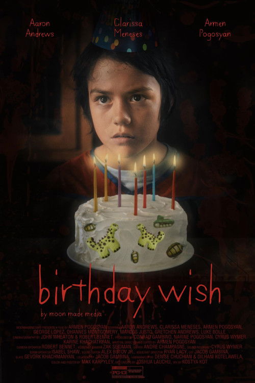 Birthday Wish (2023) poster