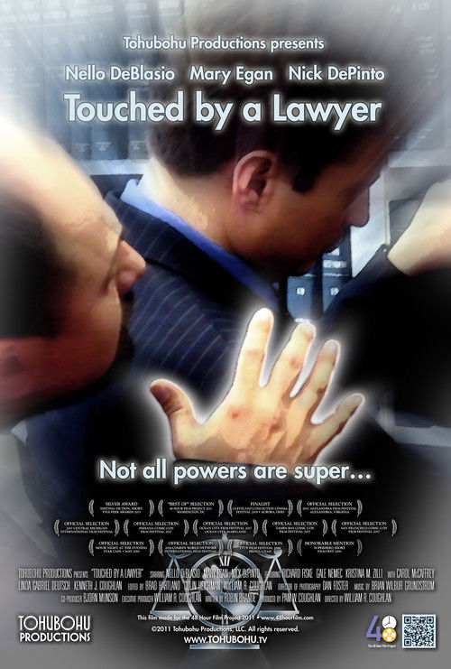 Touched by a Lawyer (2011) poster